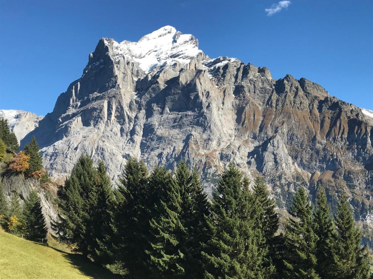 Chalet Sunneblick Grindelwald Exterior foto
